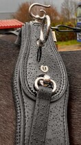 Pair BioThane Lux harness with trace holders 