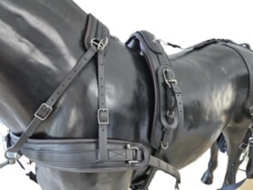 BioThane Training Singel harness COMBI 
