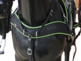 Pierś Anatomiczna BioThane Marathon COMBI