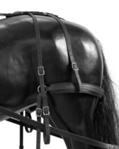 Natylnik BioThane Marathon