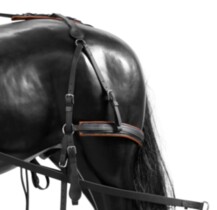 Natylnik BioThane LUX