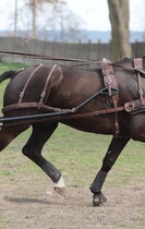 Natylnik BioThane Marathon 
