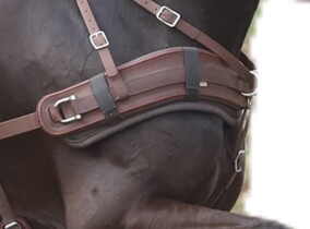 Pierś Anatomiczna BioThane Marathon COMBI 