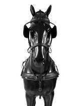 Pierś Prosta BioThane Training COMBI 