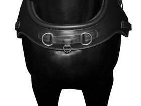 BioThane brest collar marathon COMBI 