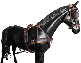 BioThane Training Singel harness COMBI 