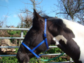 UNDERHALTER 