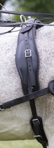 Pasek do poduszki do pary BioThane 25 mm Combi- 1 szt. 