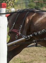 Natylnik BioThane Marathon 