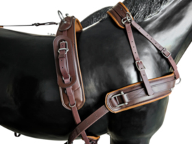 BioThane Training Singel harness COMBI 