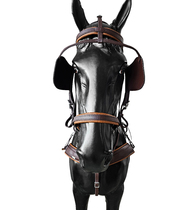 BioThane Training Singel harness COMBI 
