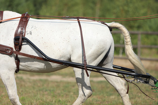 Pas ciągowy BioThane  COMBI- 1 szt. 