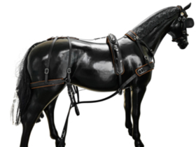 BioThane Training Singel harness COMBI 