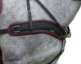 Pierś Anatomiczna BioThane Marathon COMBI 