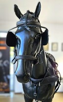 BioThane Training Singel harness COMBI 