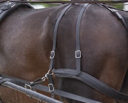 Natylnik BioThane Marathon 