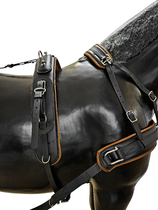 BioThane Training Singel harness COMBI 