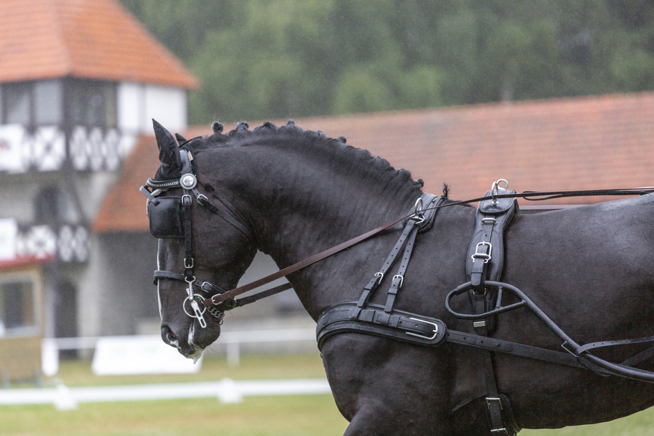 Singel BioThane® Marathon harness COMBI, anatomic brest 