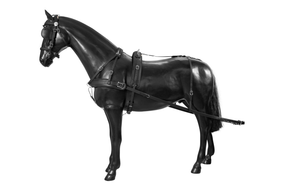 Poduszka Prosta BioThane Training COMBI 