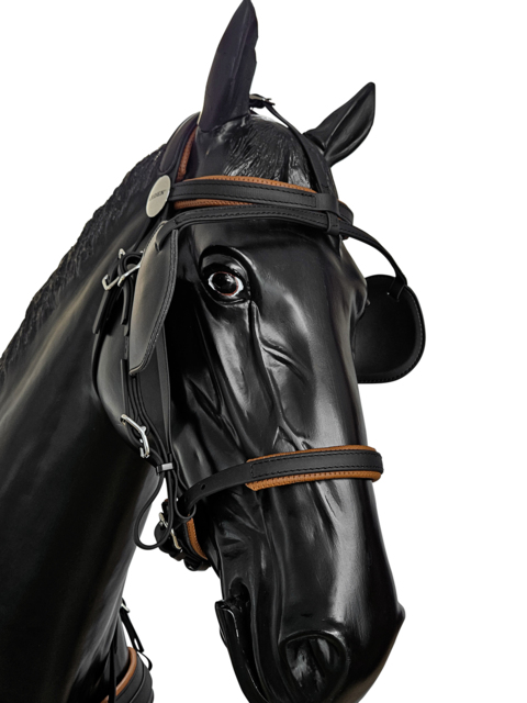 BioThane Training Singel harness COMBI 
