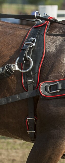 Poduszka Profilowana BioThane Marathon 