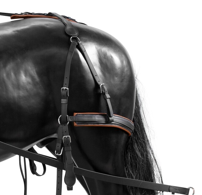 Natylnik BioThane LUX