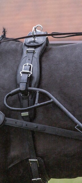 BioThane LUX anatomic saddel Singel