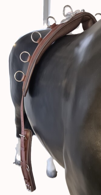 Poduszka / PAS do Lonżowania BioThane 