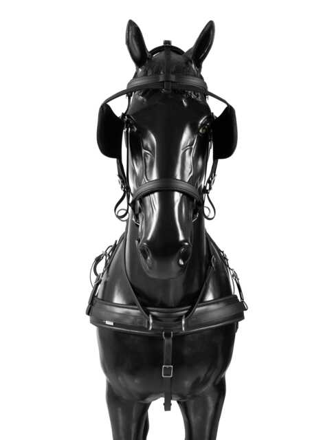 Pierś Prosta BioThane Training COMBI 