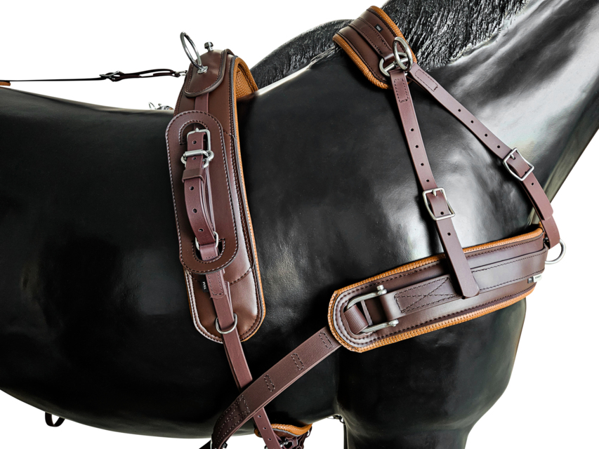 BioThane Training Singel harness COMBI 