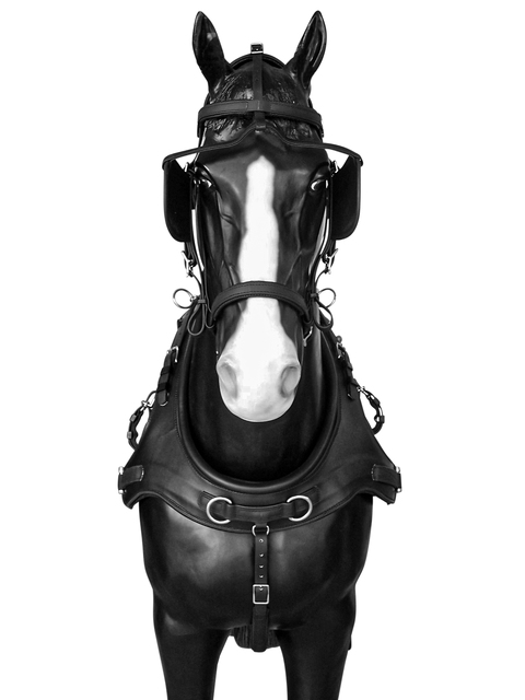 BioThane brest collar marathon COMBI 