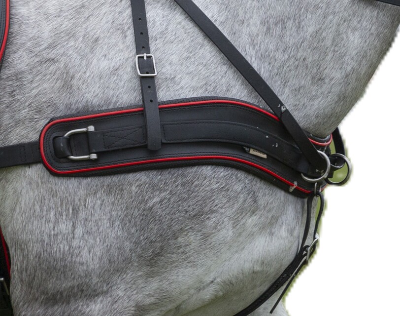 Pierś Anatomiczna BioThane Marathon COMBI 