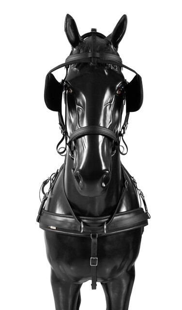 BioThane Training Singel harness COMBI