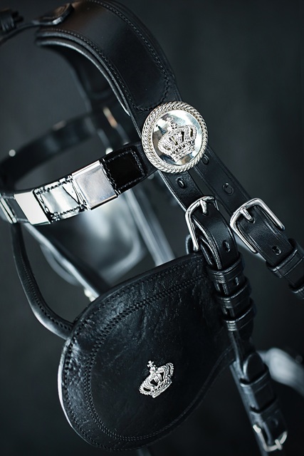 Englisch Collar Leather harenss 