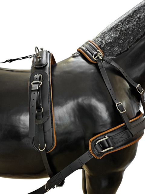 BioThane Training Singel harness COMBI 